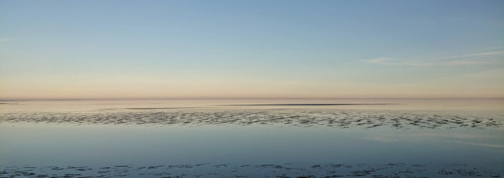 Oesters rapen texel, culinaire hotels, natuur texel Bewust genieten | Hotel Op Oost