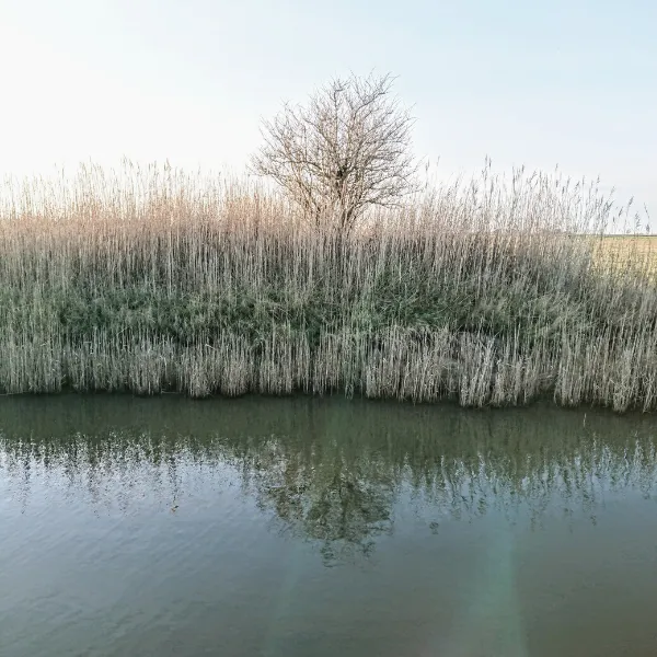 Oesters rapen Texel, wat te doen texel, wellness texel Ontdek Oost samen met ons | Hotel Op Oost